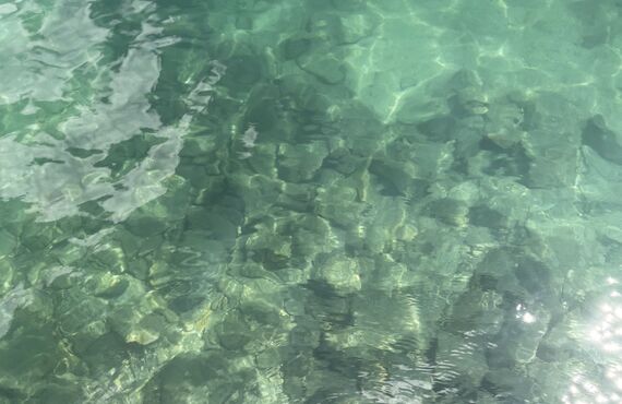 小学生の不登校の始まりと親の戸惑い｜二宮町の整体・はり灸養生院いのうえ