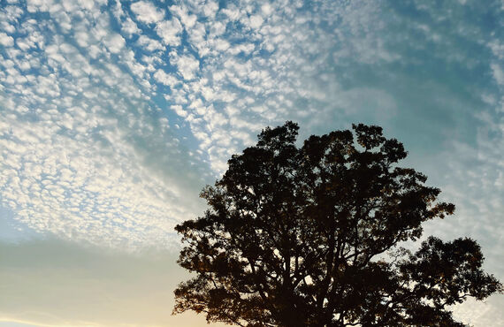 慢性的な悩みを解決したい人へ｜女性のための整体を二宮で行うはり灸養生院いのうえ 